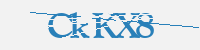 보안문자